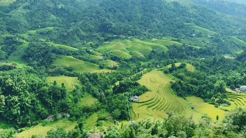 Bình yên #canhdep #nhachaymoingay #hoangsuphi 