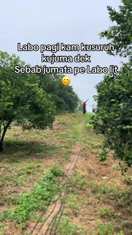#lewatberanda #justkonten #kalakkaro #kalakkarotiktok 
