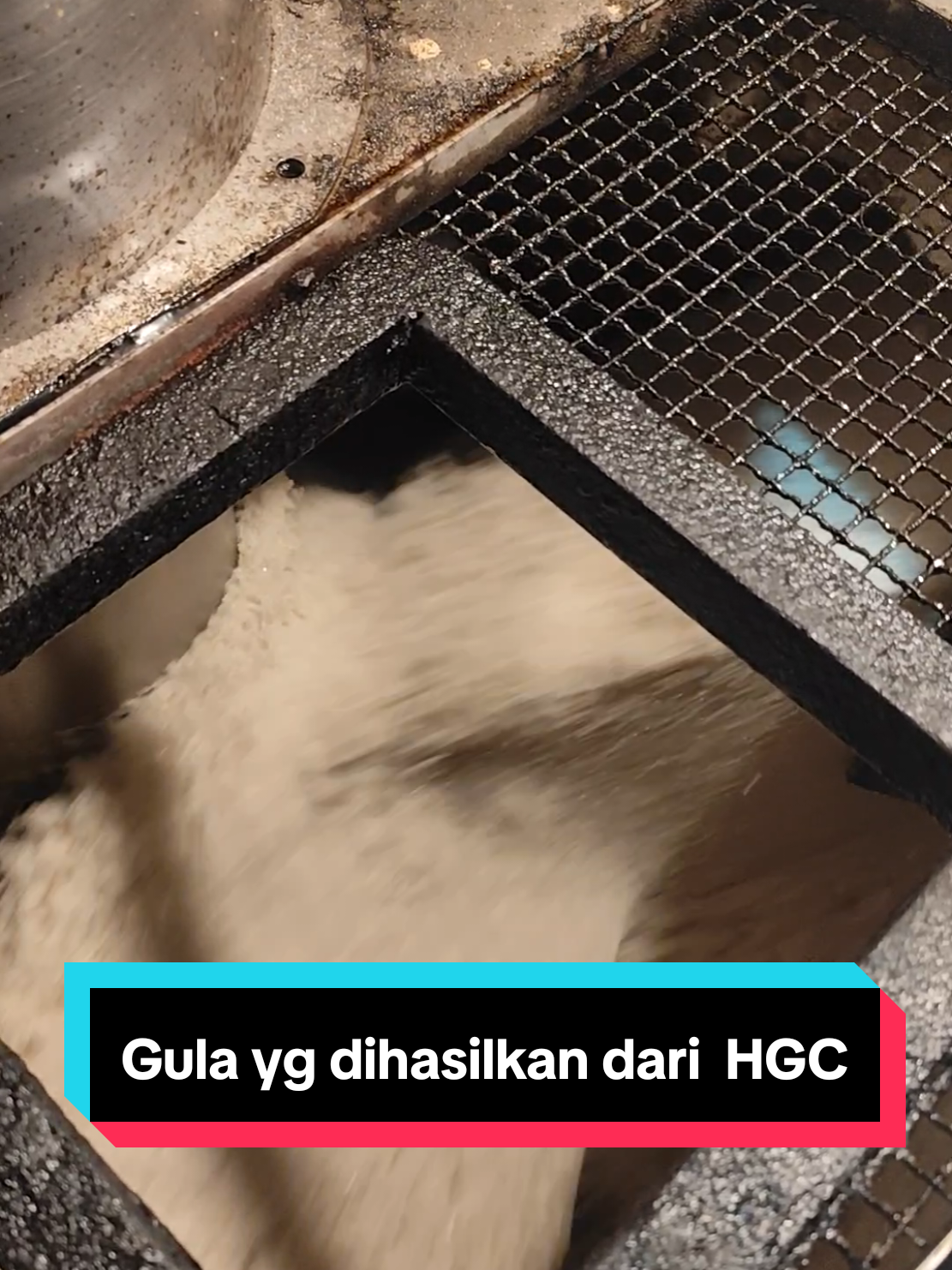 Gula yg dihasilkan dari HGC.. #filmpabrikgula #viralvideo #fyp #viraltiktok #pabrikgula 