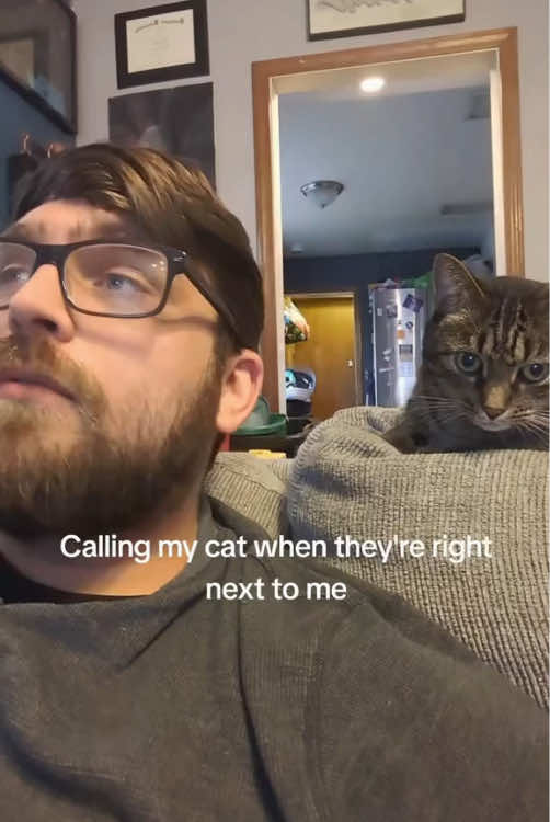 Cat’s reactions to being called by name😂😂#foryou #fyp #funnyvideos #usa🇺🇸 #funny 