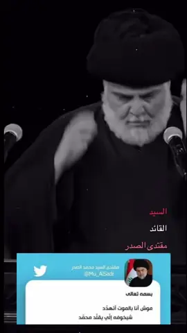 #سيدمقتدى_العشق❤🤫313 #الشععب_الصيني_ماله_حل😂😂 #الشععب_الصيني_ماله_حل😂😂 #الشععب_الصيني_ماله_حل😂😂 #السيد_مقتدى_للصدر❤️ 