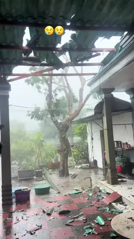 Bão ơi Miền Trung khổ lắm rồi 🥹🥹 