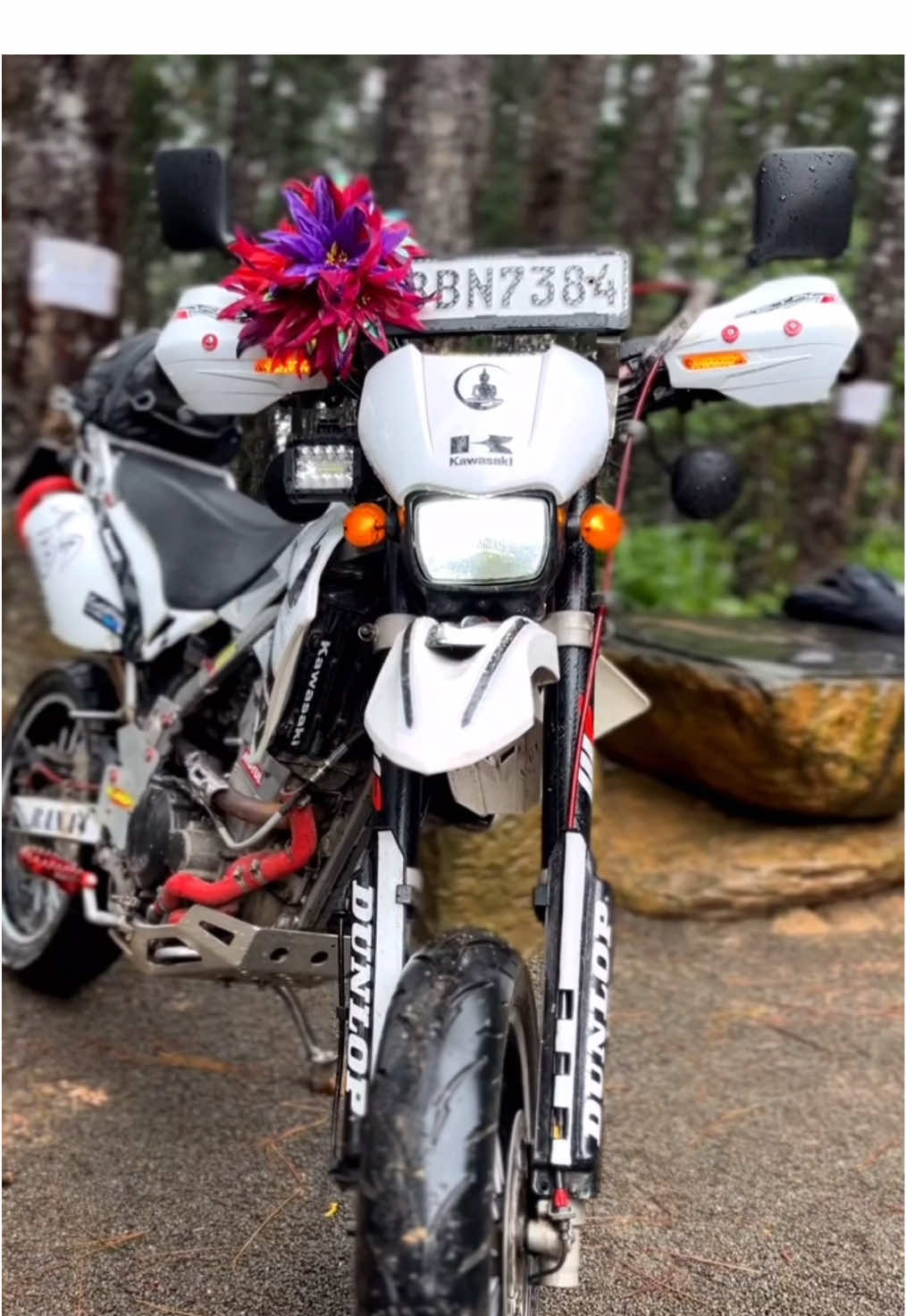 🥺🤍#kawasaki #foryoupage #dtrackersupermoto #bikelover💚 #BBN7384 #200k #viralvidio❤️‍ #1millionviews 