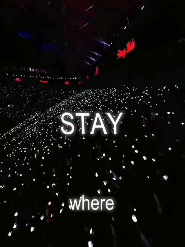 skz everywhere all around the world ❤️‍🩹 a pesar de que un miembro se salió del grupo y apesar de todo lo que tuvieron que pasar, skz siguió de pie y logró un éxito rotundo, 8 es el infinito ♾️ #StrayKids #skz4thgenleaders #fyp #lnazhy #lyrics 