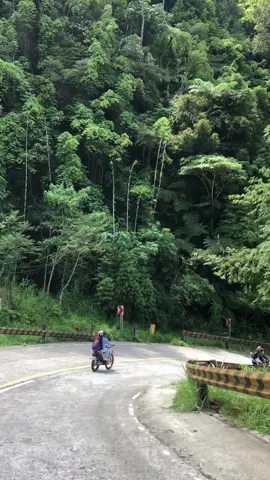 📍T'bolok, T'boli South Cotabato #nature 
