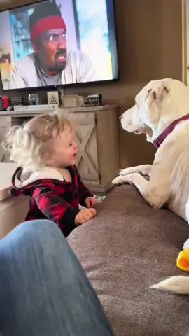 Dog and baby are best friends#dog #cute #baby #bestfriend #funnypets 