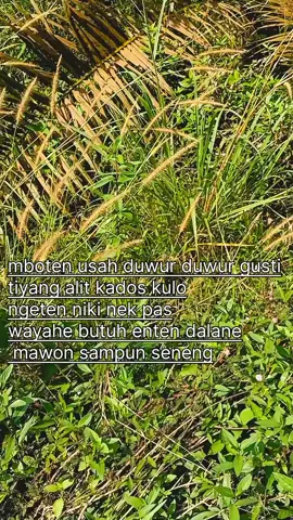 penteng pengen opo opo cukup ngono lo gusti#story #katakata #foryoupage #fyp #fypシ 
