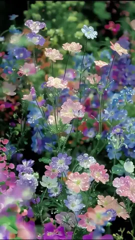 iOS 26 how to get 3D spatial wallpaper background for your iPhone. #ios26 How to set up iPhone wallpaper tutorial How to apply iPhone live wallpaper live wallpaper wallpaper iPhone wallpaper 8K wallpaper #3dwallpaper #capcutforus #capcutpioneer #capcut