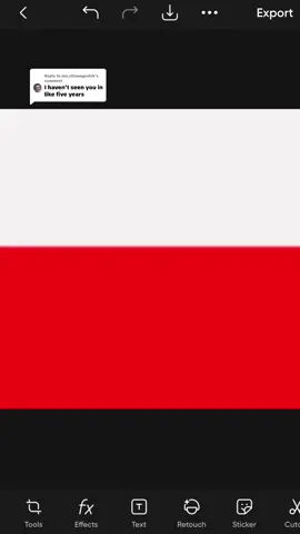 Replying to @joe_ettawageshik Poland had been solved #fyp #poland #ilovepoland 