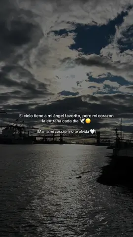 Me faltas cada día mamá 😞#parati #mimama #unbesoalcielo #teextrañotanto #hastaelcielo 