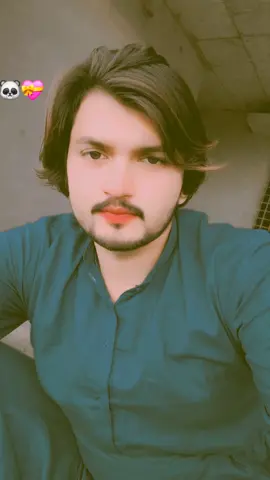#💝🐼💝 