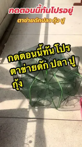 🎯กดตอนนี้ทันโปรอยู่‼️ ตาข่ายดักปลา กุ้ง ปู 🍻#ตาข่ายดักปลา #ตาข่ายจับปลา #อุปกรณ์ตกปลา #ดักปลา #ดักกุ้ง 