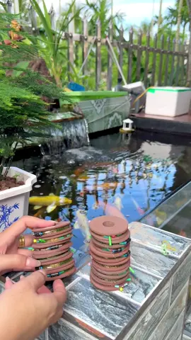 trục câu đài buộc sẵn, các bác khỏi mua về buộc mất công nha, cước 3.0, 2m6- 6m3 cho các bác #docaugiare #dogiadung #caucagiaitri #docau 