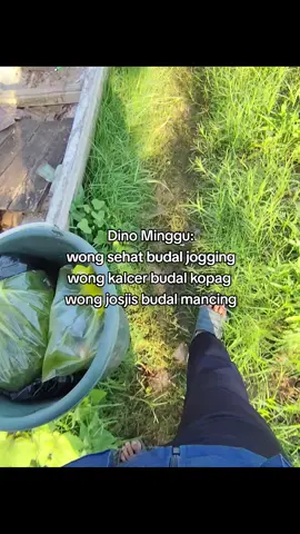 wayae harcingnas #fyp #fypage #mancing #mancingmania #karangkates 