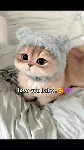 I miss you 🥲🥹🥺 . . . . . . . ... . . ... . . . . . .. . . . #catsoftiktok #cat #trend #viralvideo #bestfriend 