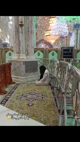 #مرقد_الامام_علي_عليه_السلام #ياعلي_مولا_عَلَيہِ_السّلام #ستوريات🖇️🎬 #العراق_السعوديه_الاردن_الخليج #اكسبلورexplore❥🕊🦋💚❤ 