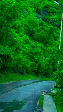 کب آرہے ہو پھر مارگلہ ہلز اسلام آباد 🌳اسلام آباد کی خوبصورتی میں سے ایک خوبصورت جگہ۔🌳❤️‍🩹🥀#foryou #foryoupage #beautiful #islamabad #zeeshanzaman200 