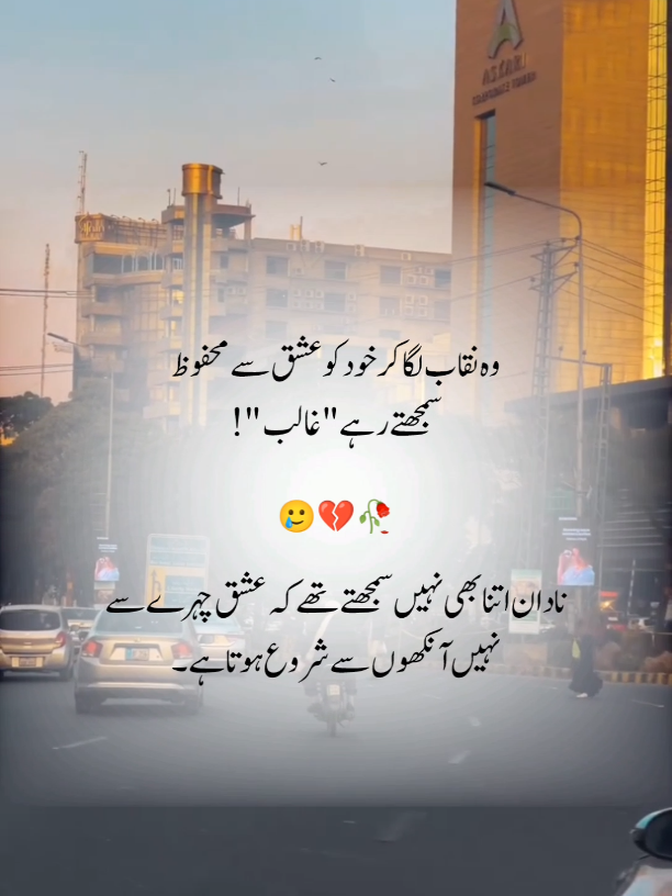 Nakab😉💯.. #mirzagalib  #urdupotery  #ghazal  #urduline  #potterytiktok 