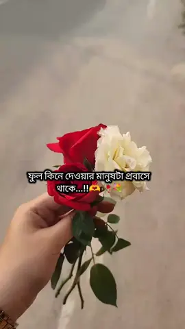 স্বামী বিদেশ #i_miss_you_sami_jan😭✈️😭😭😭😭 #দুবাই_প্রবাসীর_বউ✈🇦🇪✈️😭🥺😥🥹✈️💔🥺😥🥹😭 