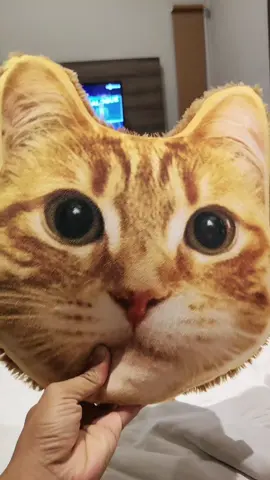 bantal kepala kucing #bantalkepalakucing #bantal 