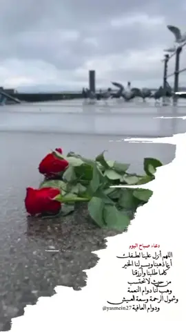 ##دعاء الصباح #صباح_الخير  #اذكار_صباح_والمساء  #آمين_يارب_العالمــــــين  ##دعاء _الصباح _والمساء 