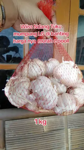 bawang putih sinco 1000 gram murah cek ,bawang putih nyabesar besar dan Fress ya Bun yuk yg mau gercep skrg juga 1 kg cuma 31000#bawang #bawangputih #bawangputihsinco #bawangputihmurah #promomakangajian 