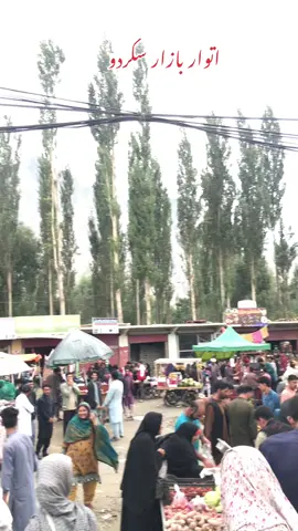 #skarduvalley 