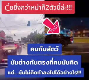 #อาย #ไม่มีจิตสํานึก #ข่าวtiktok #ด่วน 