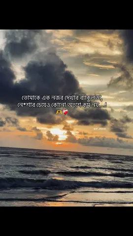 তোমাকে এক নজর দেখার ব্যাকুলতা, নে*শার চেয়েও কোনো অংশে কম নয়!🫶🖤#ক্যাপশন #trendingcaption #captionvideo #natureview #beachview 