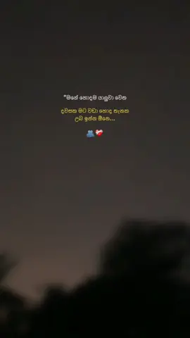 ඔයාගෙ හොදම යාලුවව @ කරල ආදරෙයි කියන් යමු 🫂❤️‍🔥#ලයික්_එකක්_දලා_ෆ්ලො_කරල_යමු🥺🤍 