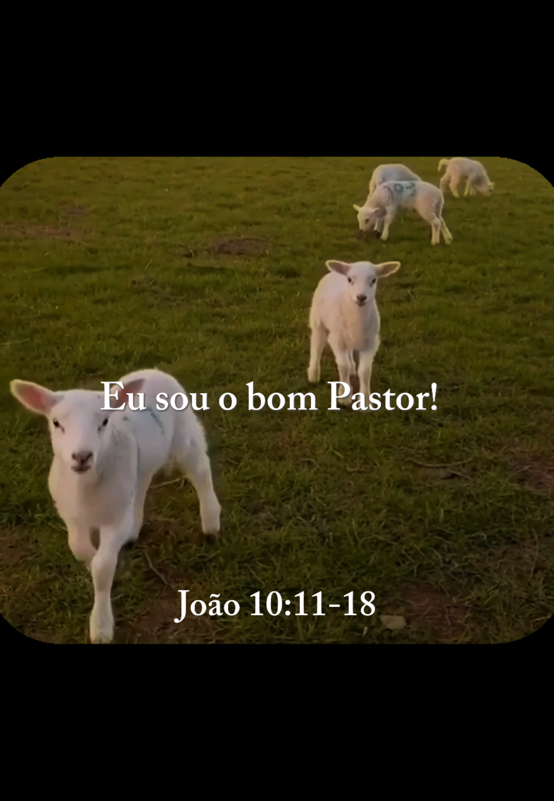Espalhe o evangelho ✝️🙏🏻  . . #evangelho #Deus #palavradedeus #ensinamentos #jesus 