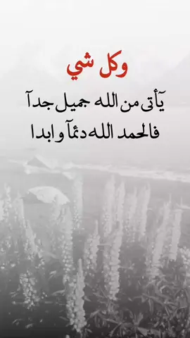 #إقتباسات عبارت ه #شبل#يمن#الشمال#عدن يجمال_اليمن ثقافة_يمنية تراث_يمني موسيقى_يمنية شباب_يمني ـــ فخر_يمني يمن_الحب تقاليد_يمنية