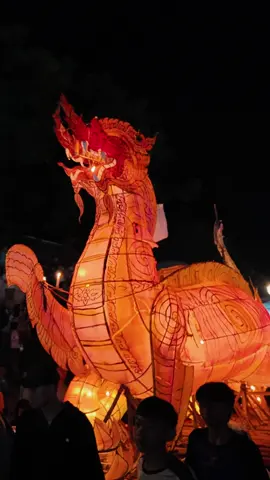 🏮ບຸນໄຫຼເຮືອໄຟ | The countdown begins! Soon the Mekong will sparkle with glowing fireboats. A night of lights, culture, and beauty awaits — the Fireboat Festival is near! 🎇✨  #ບຸນໄຫຼເຮືອໄຟ #Firebostfestival #Mybanlao #ໂຮງແຮມມາຍບ້ານລາວ #Luangprabang