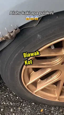 Dah macam mana nak keluar kan 🤔🤔🤔 #fyp #fyppppppppppppppppppppppp #viral #biawak #kereta 