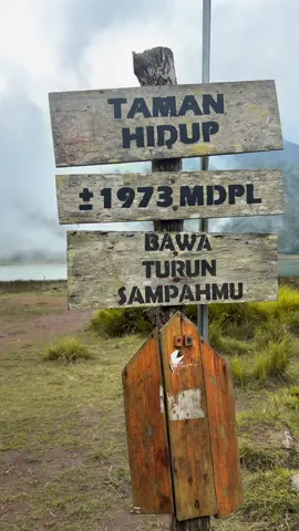 yakin pada gamau kesini?😋          #argopuro #Hiking #tamanhidup #ekspedisi 