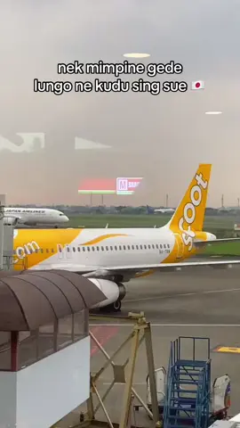 jika ada kesempatan kenapa tidak,bismillah🤲🏻 #fyppppppppppppppppppppppp #kenshuseijapan🇮🇩🇯🇵🎌 #japanairlines #fypage #jishusei🇯🇵🇲🇨 