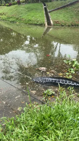 sound baru ni  boleh tak