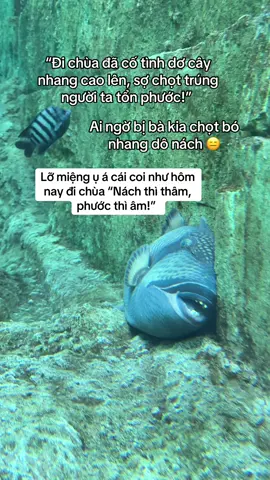 Nách thì thâm, phước thì âm :))) #GreenCreator #VinWonders #dulich 