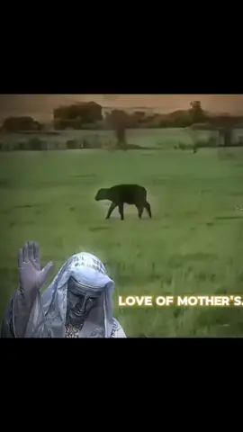 love of mother's 😌☺#foryou #fypシ゚ #respect #viralvideo #foryoupage 