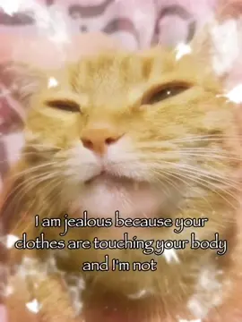 I am jealous 😢😢#rizz #cattok #relatable #joke #meme 