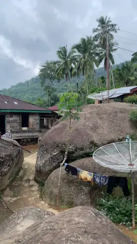 #sipiongot #paluta #kumpulanlagumandailing 