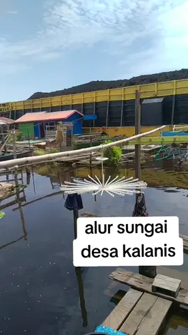 siang ini #pelautpunyacerita #pelautindonesiatiktok #fypdongggggggg #pelautindonesia🇲🇨🇲🇨 #pelaut #alurbarito #kalimantanselatan #kalimantantegah #fypシ #fyp #kalimantan 