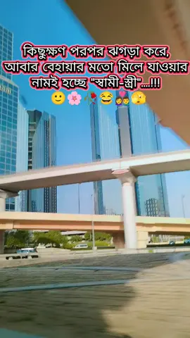 কি বলেন ঠিক বললাম না 😂🤣😂 #copylink kore daw sobai #fyp #foryoupage #viral #tiktok 