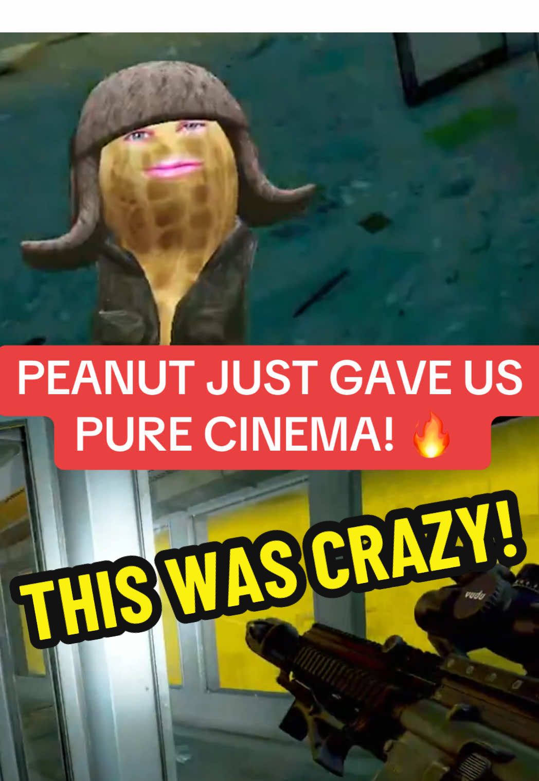 Peanut this was pure cinema! The bungulator showed them what happens when you call him a V-Tuber! 🎬twitch.tv/theburntpeanut @theburntpeanut #theburntpeanutclip #theburntpeanut #theburntpeanutclips #fyp #tarkov    