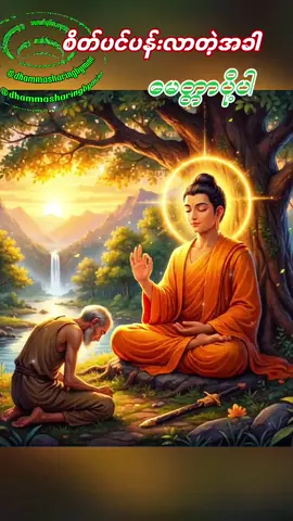 မေတ္တာပို့ပါ #တရားတော်များ2025အစအဆုံး #တရားတော်များနာယူနိုင်ပါစေ🙏 #ဓမ္မဒါန #တရားတို #foryoupage 