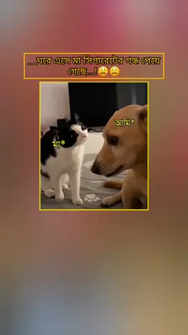 😩😩 #funny #trending #viral #foryoupage #fyp @TikTok Bangladesh 