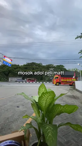 entek resik matt  #lamongan24jam #4u #masukberanda #xyzbca #fyp 