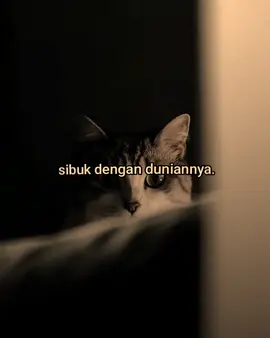 #wanquotes 