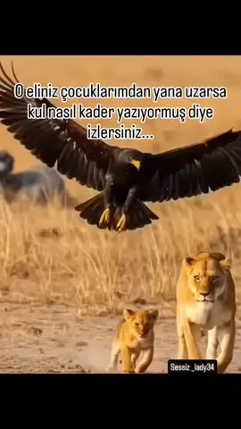 #evlatlarımdan #,yana#uzanan#dilinizi #.