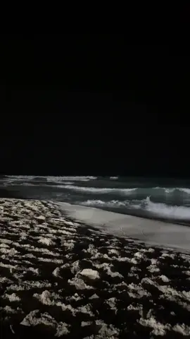 #music #night #عمرو_دياب #amrdiab #sea 